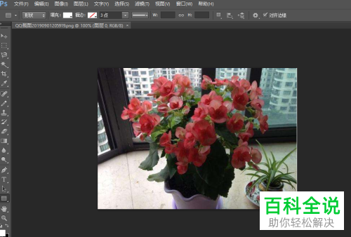 电脑PS怎么将照片恢复成原来的颜色