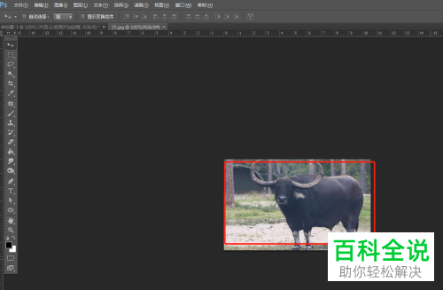 电脑PS软件中照片的边框如何添加