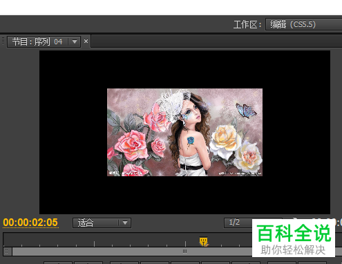 电脑pr软件中导出的视频存在黑边的原因