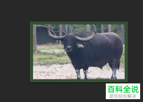 电脑PS软件中照片的边框如何添加