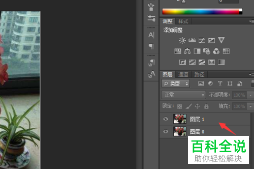 电脑PS怎么将照片恢复成原来的颜色