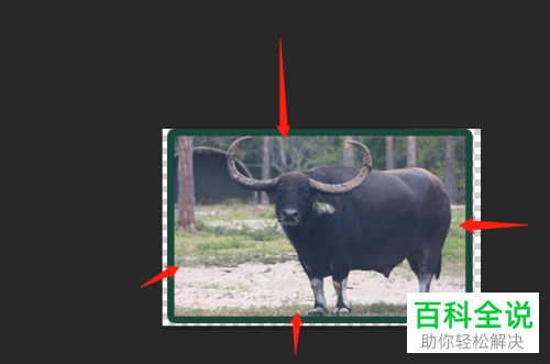 电脑PS软件中照片的边框如何添加