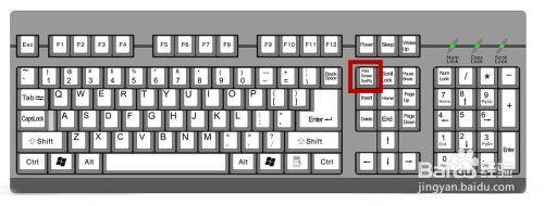 电脑屏幕如何截图 常用的电脑截图(屏幕截图)方法汇总
