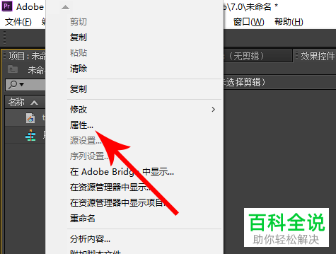 电脑pr软件中导出的视频存在黑边的原因