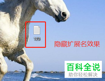 电脑上的文件的后缀(扩展名)怎么隐藏和取消