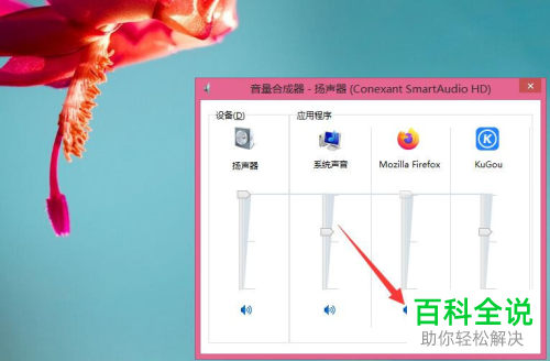 电脑上浏览器的声音怎么设置成静音