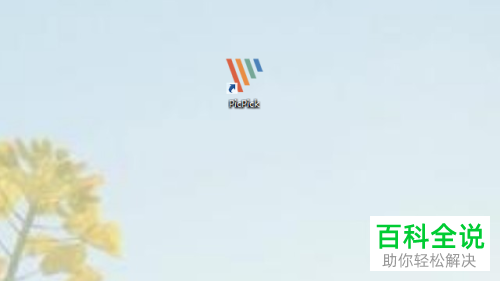 电脑使用picpick软件截图怎么固定尺寸大小