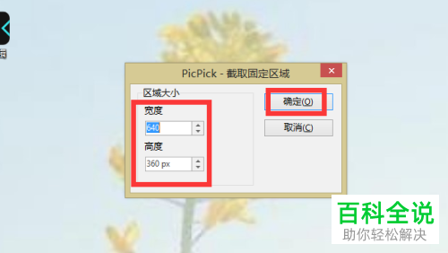 电脑使用picpick软件截图怎么固定尺寸大小