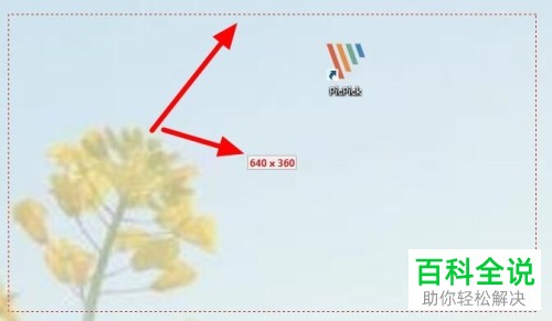 电脑使用picpick软件截图怎么固定尺寸大小
