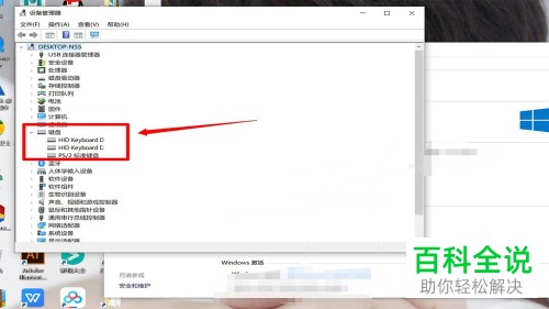 电脑上无法使用键盘输入文字怎么办