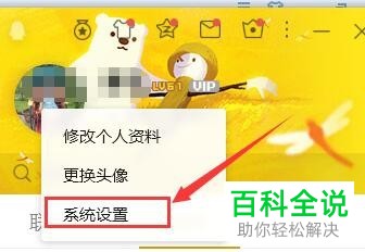 电脑上怎么设置不让朋友看到自己QQ资料上的年龄