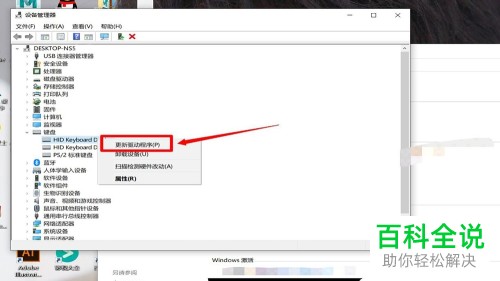 电脑上无法使用键盘输入文字怎么办
