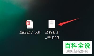 电脑上的pdf文件如何转换为图片