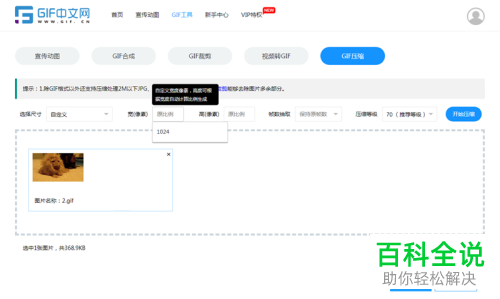 电脑上gif动图的大小怎么在线调整