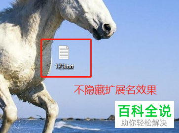 电脑上的文件的后缀(扩展名)怎么隐藏和取消