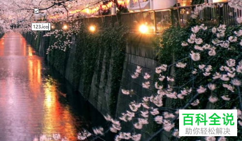 电脑上面的软件图标如何自定义修改