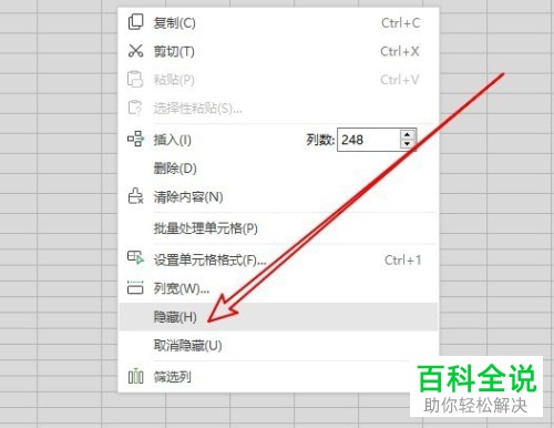电脑WPS表格没有数据的空白单元格如何隐藏