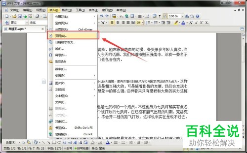 电脑wps文字软件内怎么完成文档页码的插入