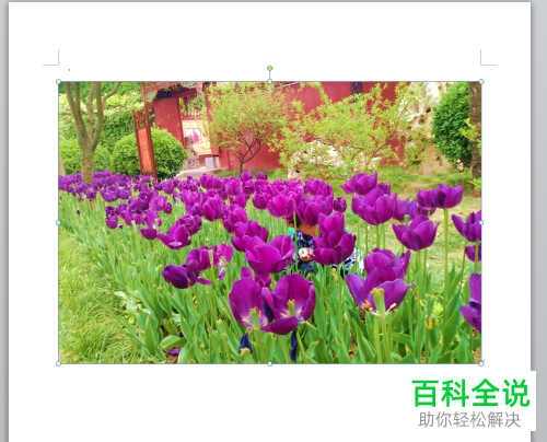 电脑word图片相框怎么添加