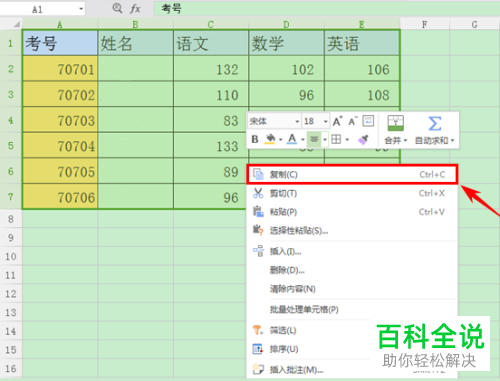 电脑WPS表格怎么让复制的表格和原表格的格式一致