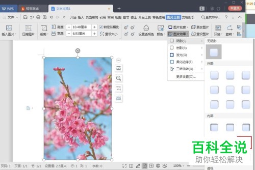 电脑wps怎么给图片增加阴影效果