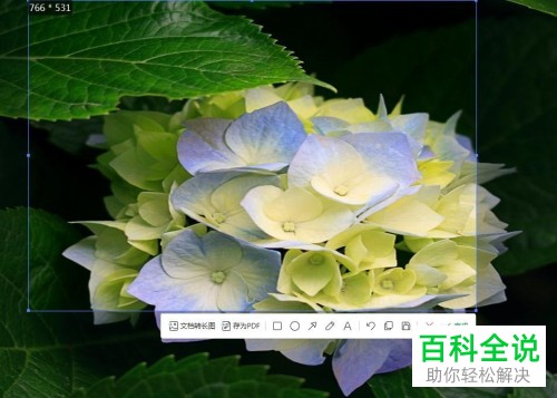 电脑WPS表格的屏幕截图功能怎么使用