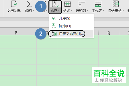 电脑wps表格软件内怎么以笔划的顺序来对人名进行排序