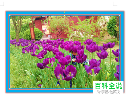 电脑word图片相框怎么添加