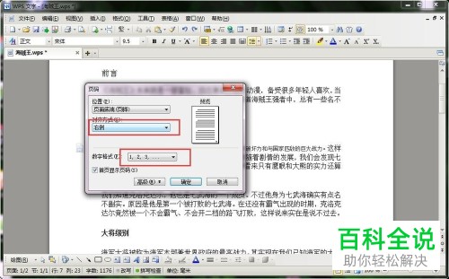 电脑wps文字软件内怎么完成文档页码的插入