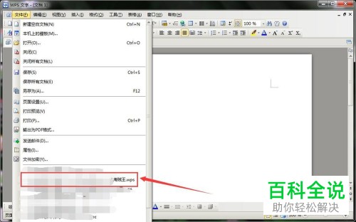 电脑wps文字软件内怎么完成文档页码的插入