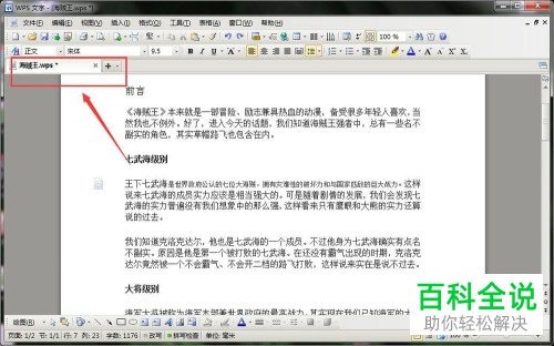 电脑wps文字软件内怎么完成文档页码的插入
