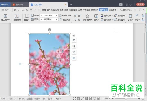 电脑wps怎么给图片增加阴影效果