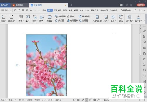 电脑wps怎么给图片增加阴影效果