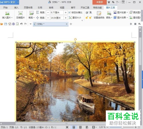 电脑wps文字软件的图片的发光效果如何添加