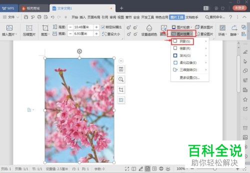 电脑wps怎么给图片增加阴影效果