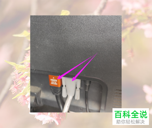 电脑显示花屏且显示多种不同颜色怎么办