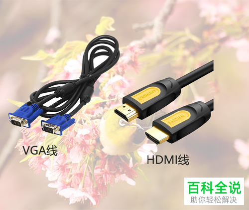 电脑显示花屏且显示多种不同颜色怎么办