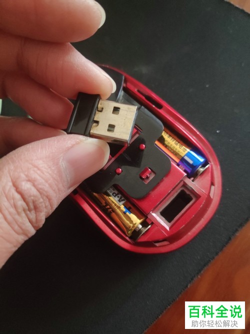 电脑系统重装之后无法使用鼠标