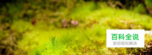 电脑主题自带壁纸不喜欢，如何找到官方的壁纸?