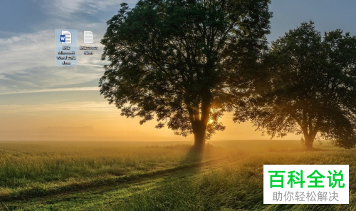 电脑中新建的文档不显示后缀扩展名如何解决