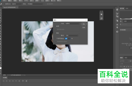 电脑怎么使用PS软件的“填充功能”