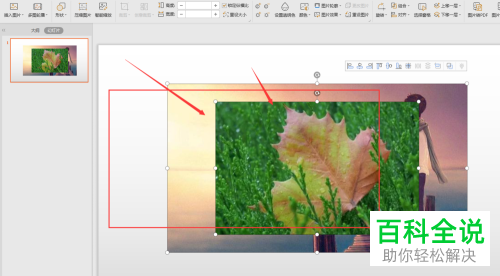 电脑怎么将图片插入进wps幻灯片中
