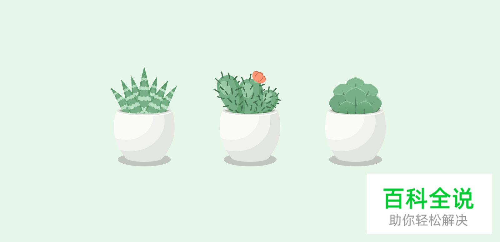 大神告诉你，她是如何完成100天插画设计挑战的？