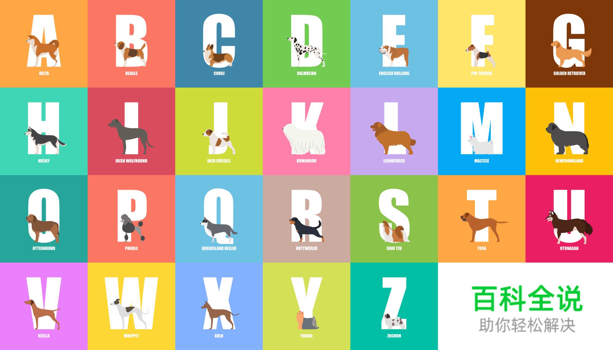 大神告诉你，她是如何完成100天插画设计挑战的？