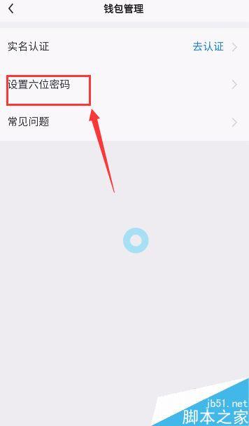 多闪怎么设置钱包密码?多闪我的钱包密码设置教程