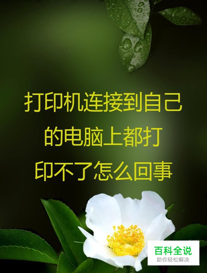 打印机连接到自己的电脑上都打印不了怎么回事