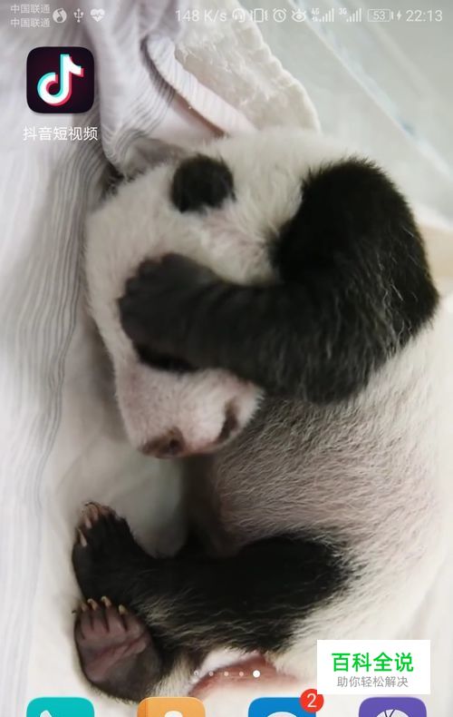 抖音如何设置动态壁纸