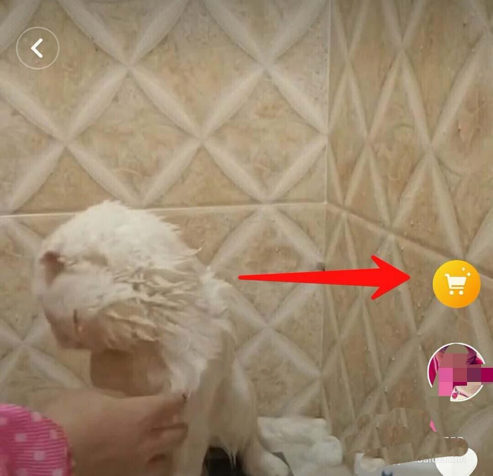 抖音怎么加淘宝链接? 抖音开通淘宝的教程