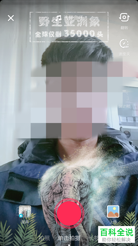 抖音中怎么拍摄制作带有野生亚洲象、野生动物特效的视频