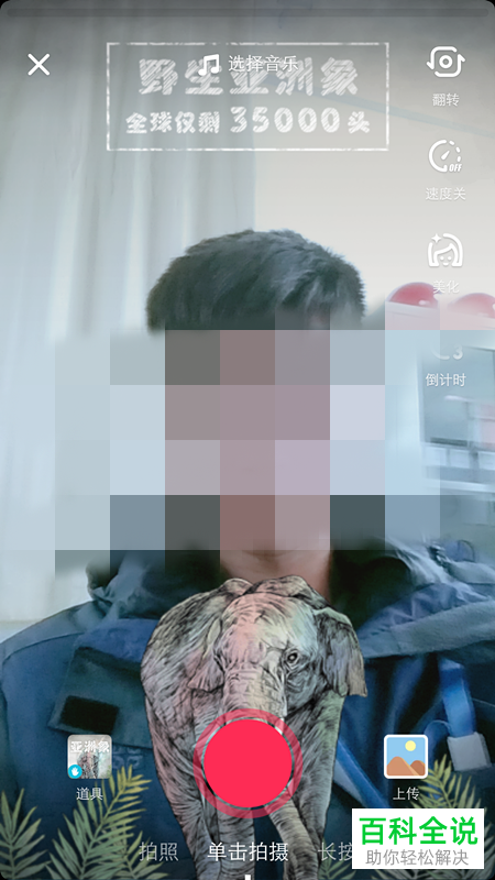 抖音中怎么拍摄制作带有野生亚洲象、野生动物特效的视频